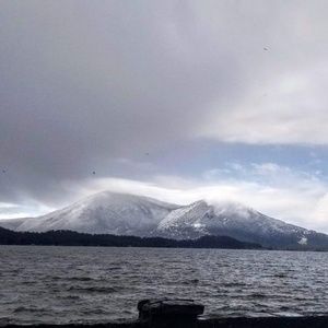 Meet your Posher, Sheila